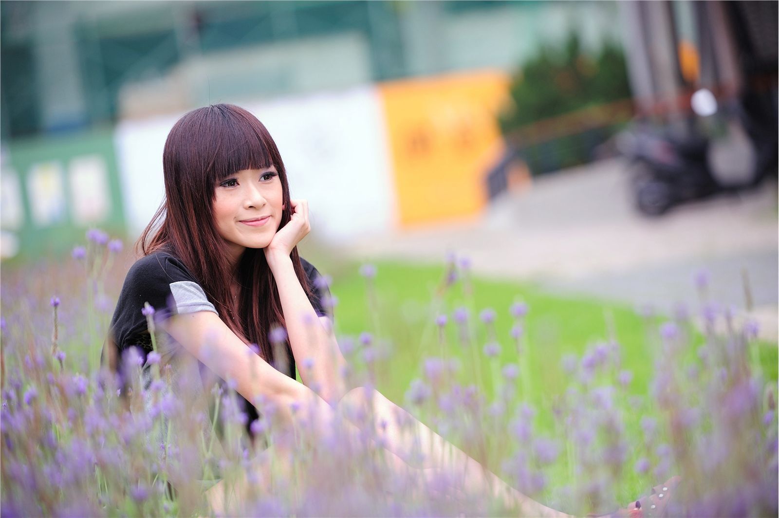 妃妃 (nana) - 薰衣草的爱　国产高清美女图片