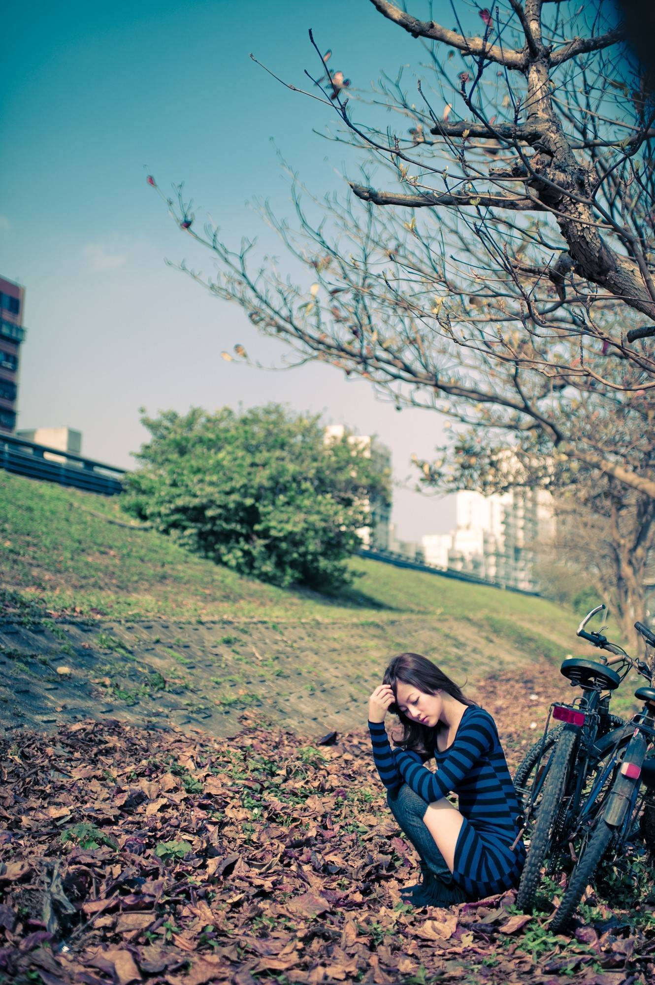 （张凯洁）果子 環南果菜市場