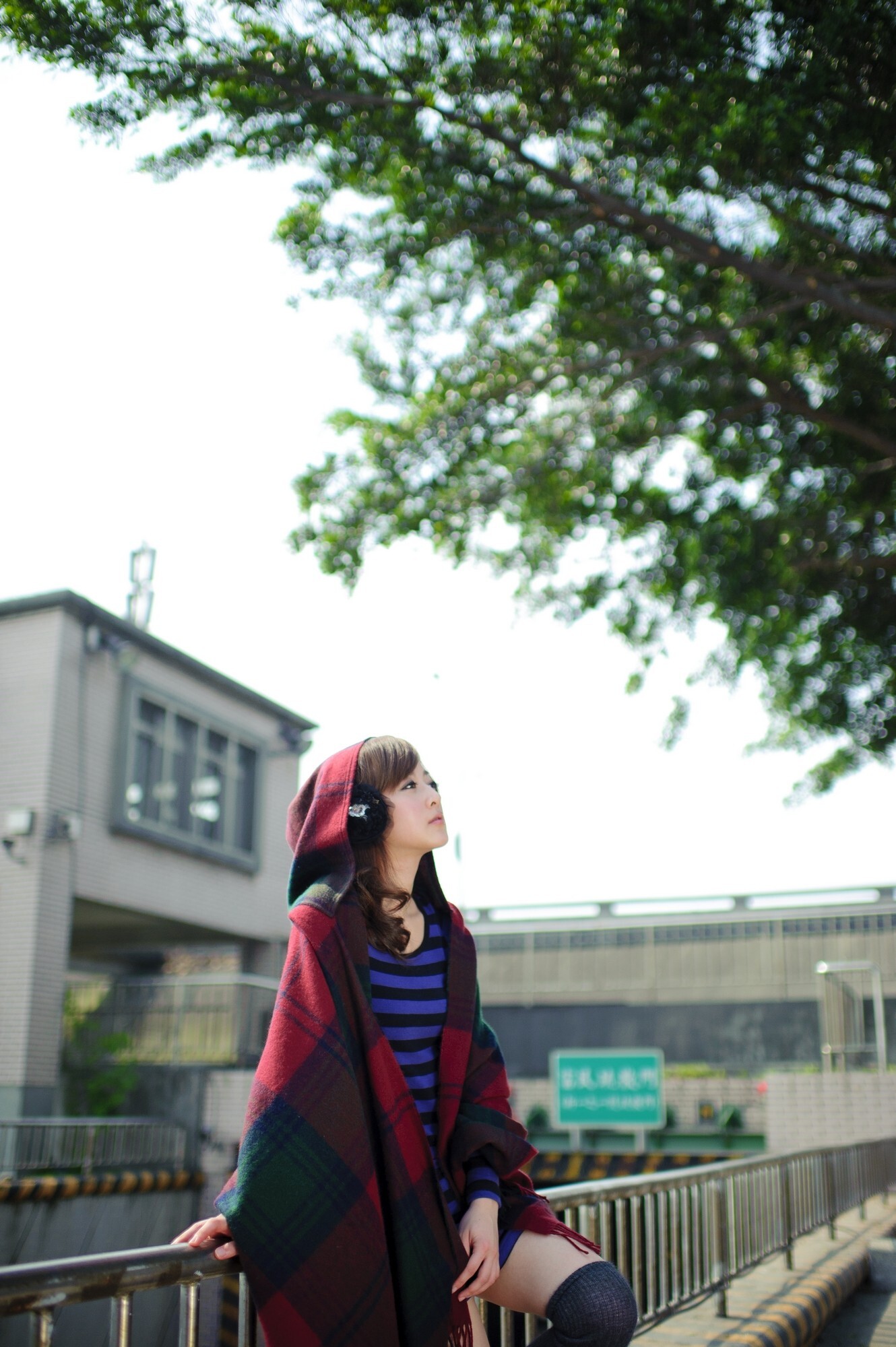 （张凯洁）果子 環南果菜市場