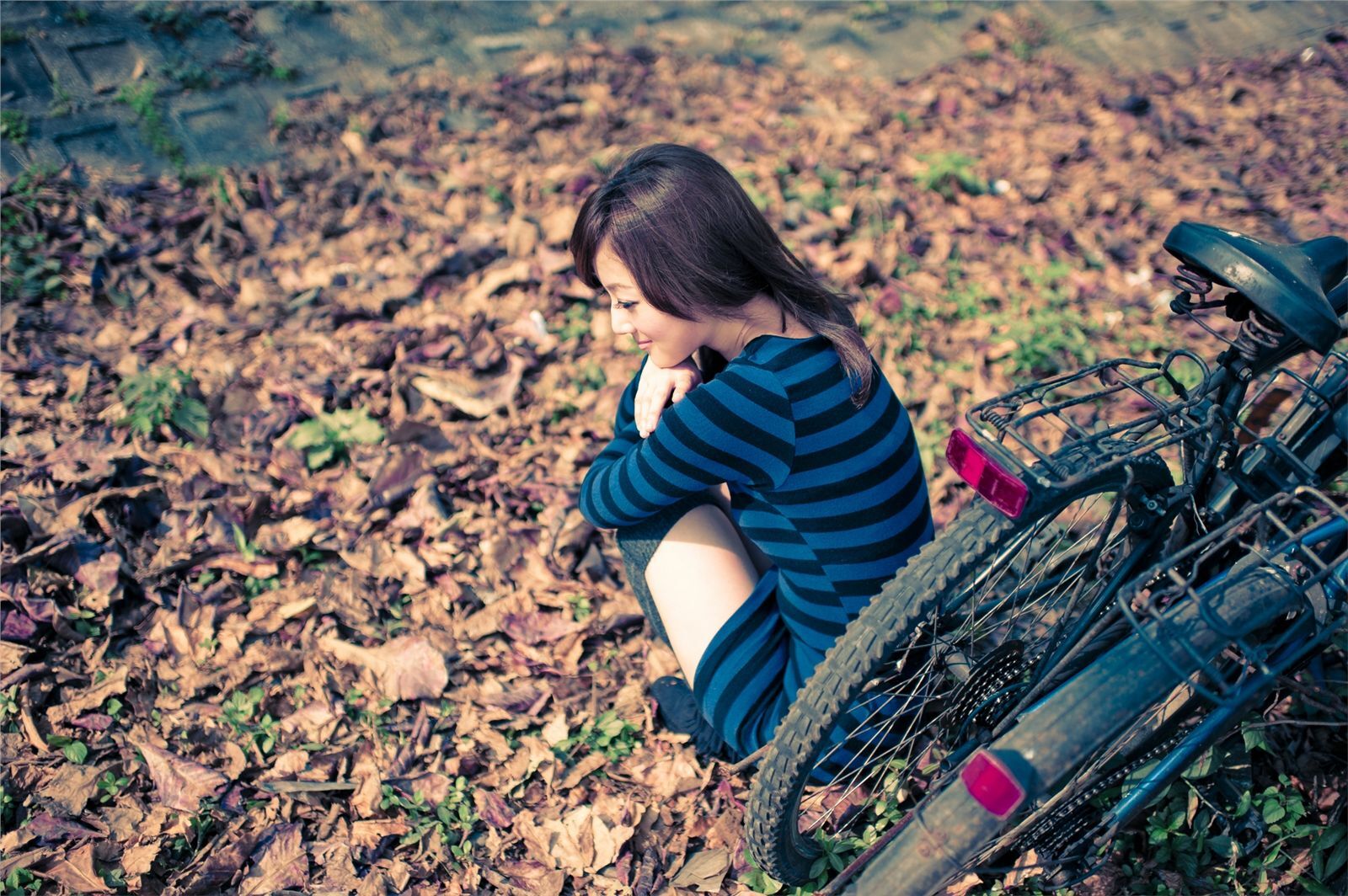 （张凯洁）果子 環南果菜市場