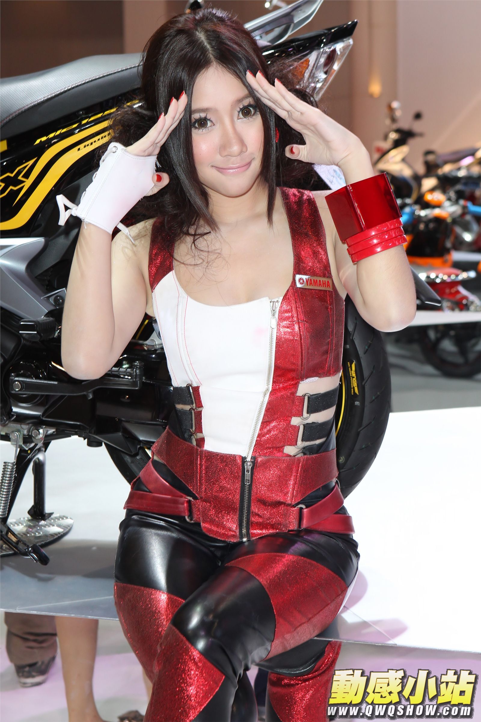 2011YAMAHA MODEL PROTON 2011年车摸写真图片