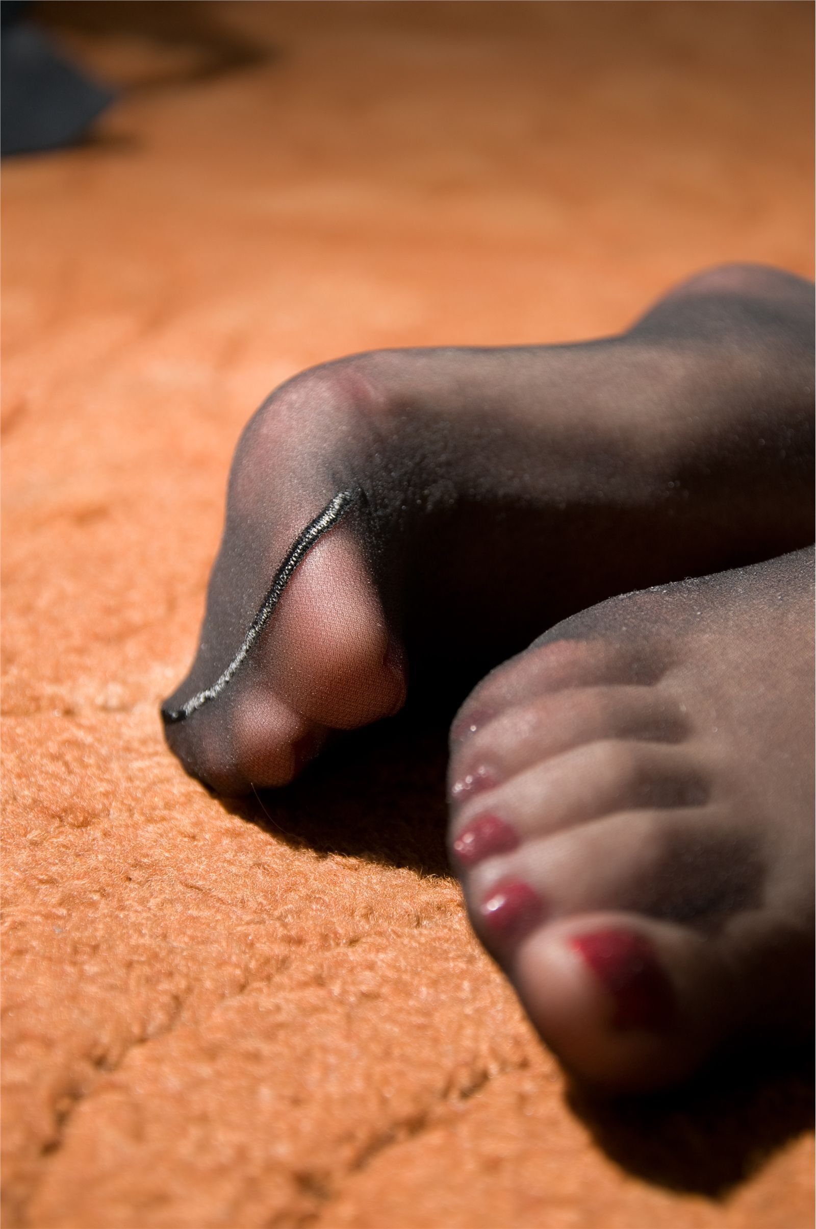 [丝宝] 2013.03.23 非常VIP第1期完整版 免费套图打包下载