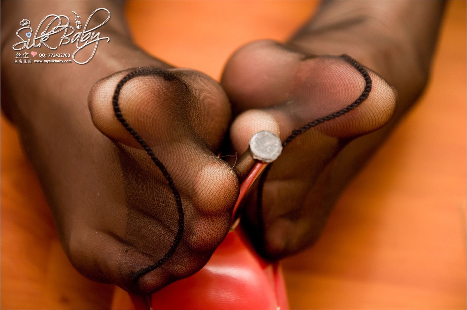 丝宝VIP2010系列之超薄的黑丝美腿