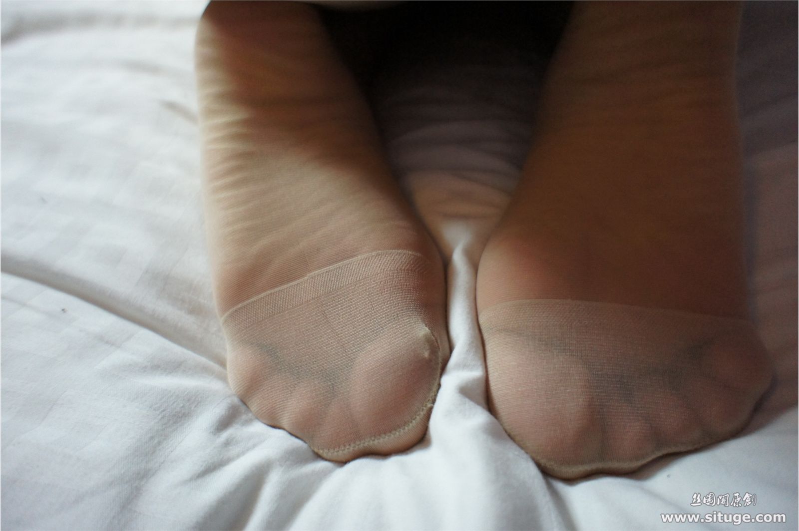 No.043 Anonymous [丝图阁] 20111103 美少女丝袜美腿写真