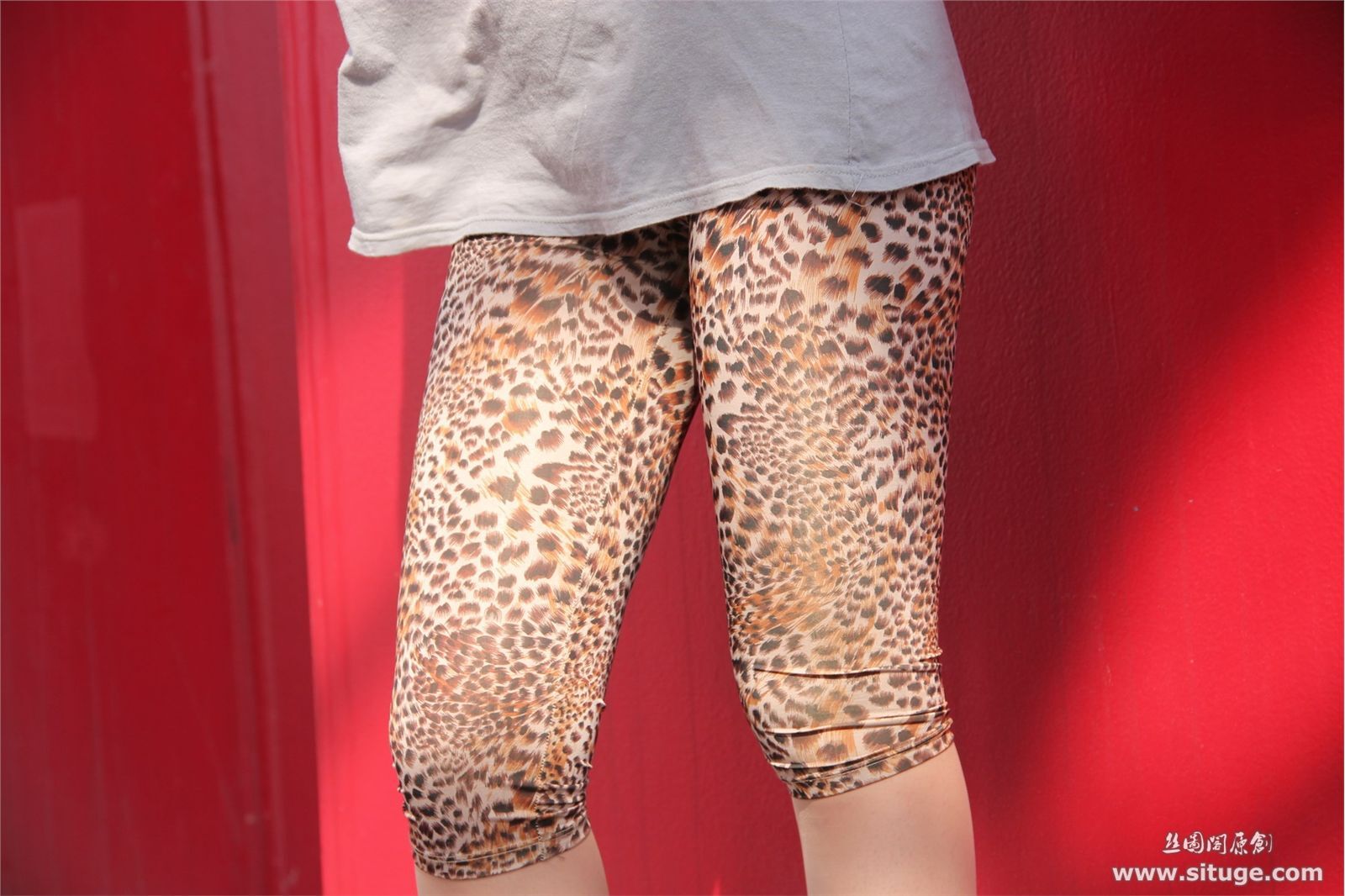 [丝图阁]最新 No.045 PingGuo 国产丝袜写真模特