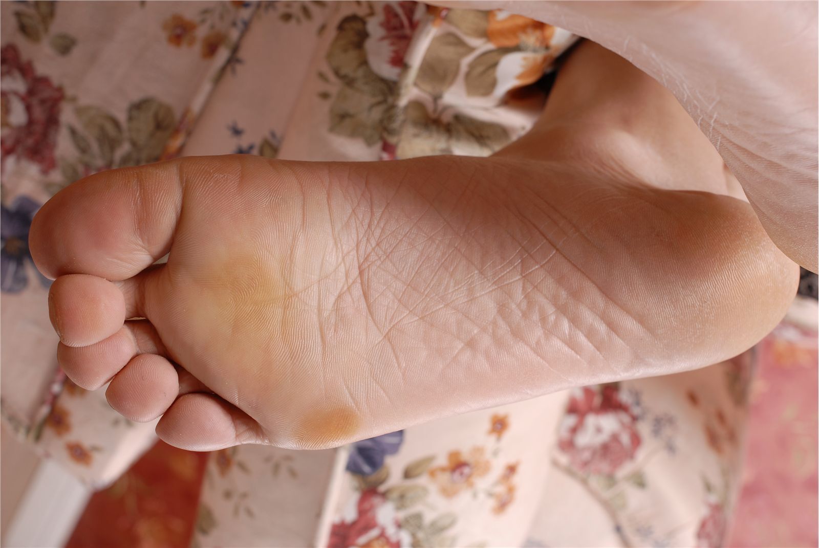 LT088-艾薇裸足图片 国产美女美足丝袜诱惑图片打包下载