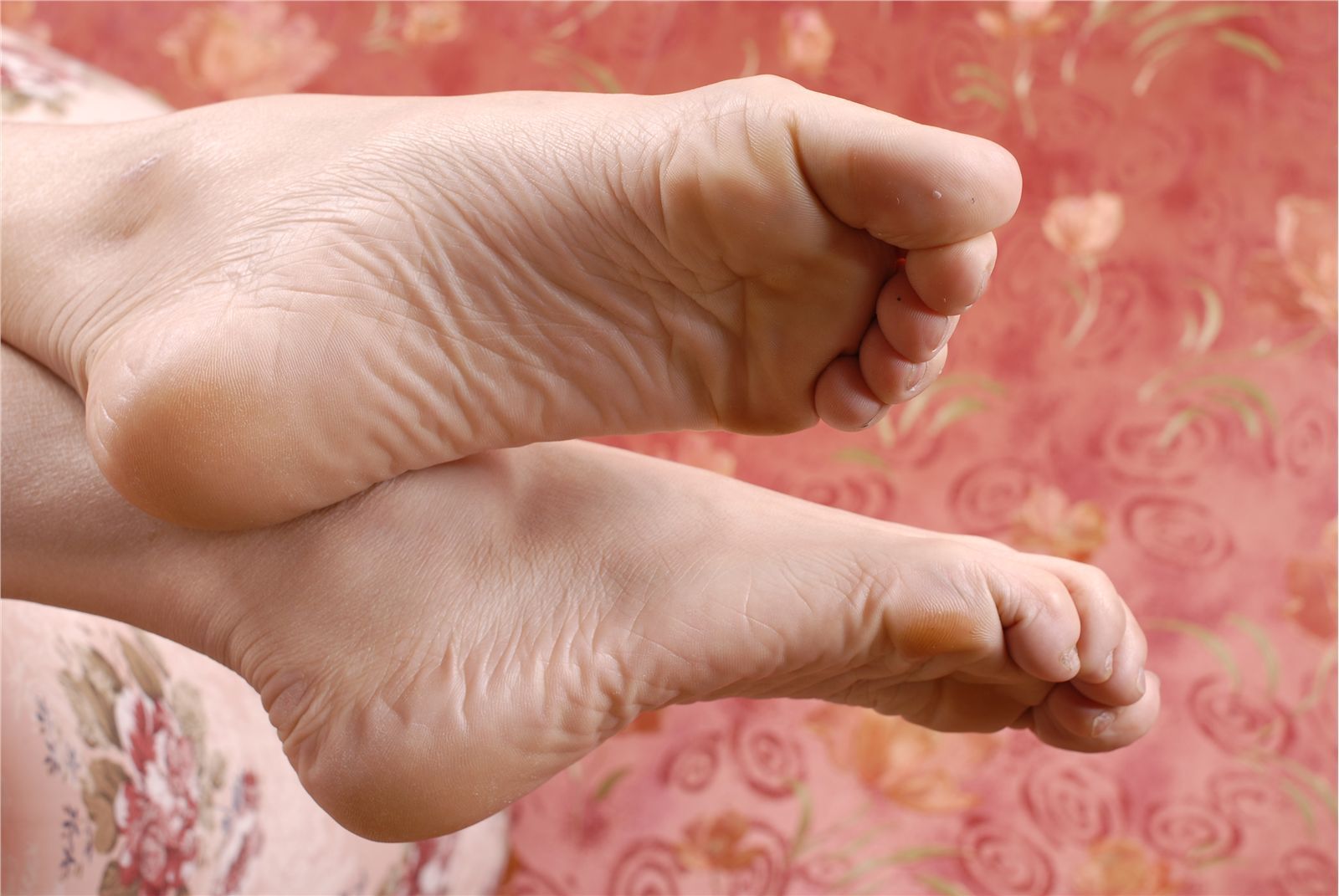 LT088-艾薇裸足图片 国产美女美足丝袜诱惑图片打包下载