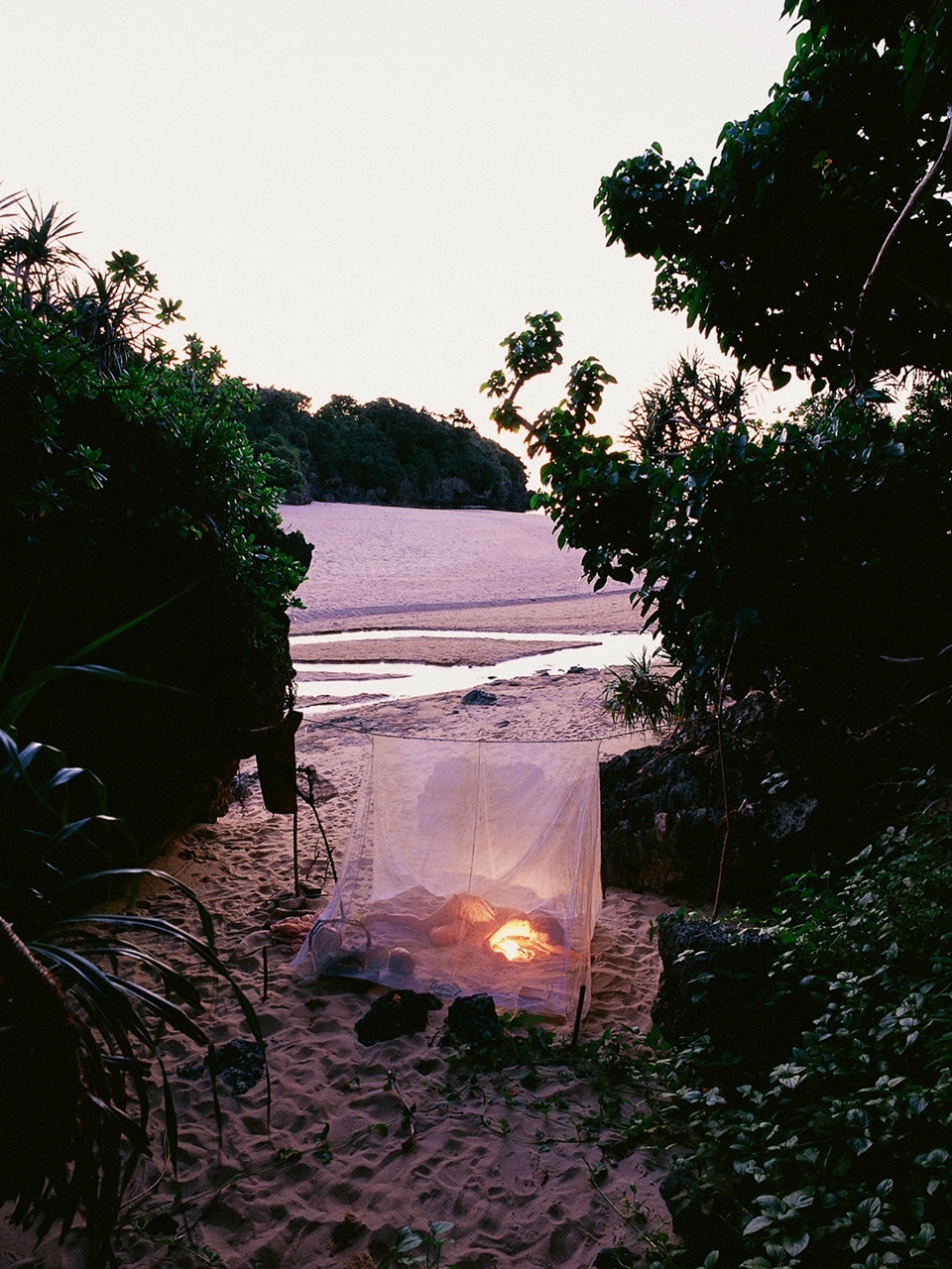 Rina Nagasaki (長崎莉奈)  [VYJ]