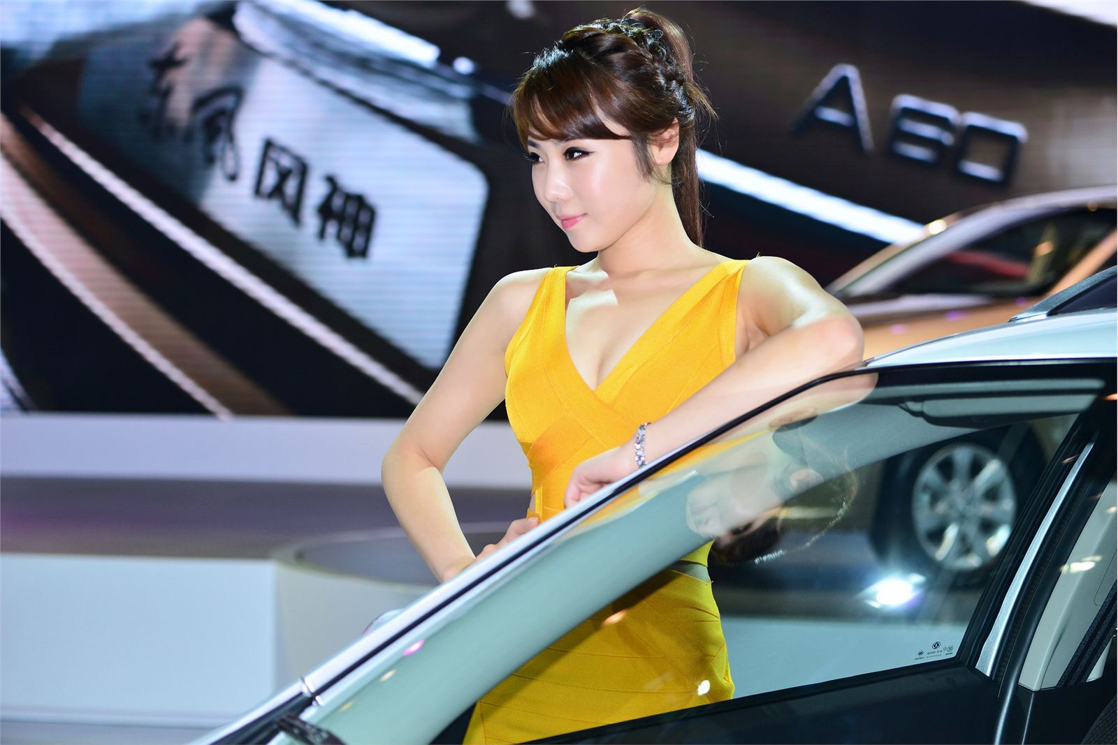 [网络收集] 2013年成都车展 Part.1