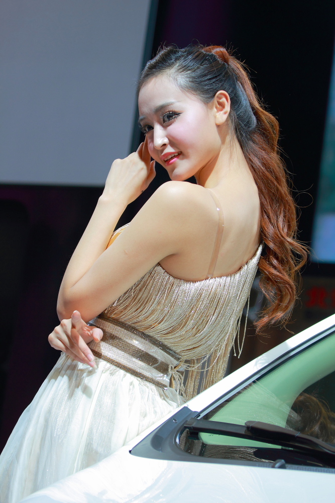 [网络收集] 2013.11.14 2013年成都车展 Part.4