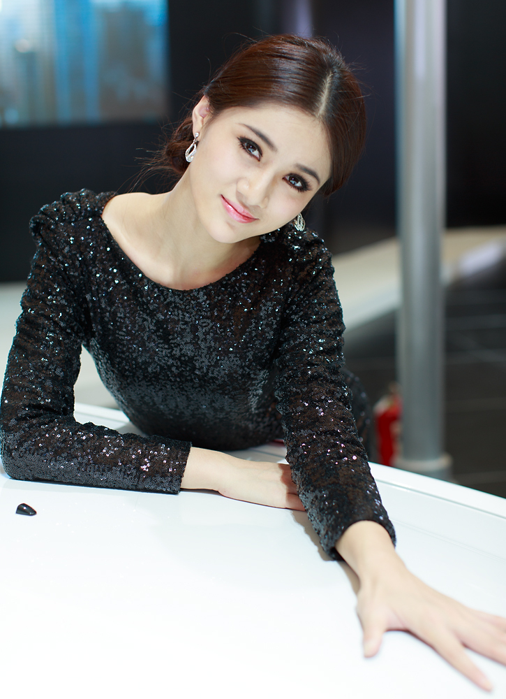 [网络收集] 2013.11.15 2013年成都车展 Part.5