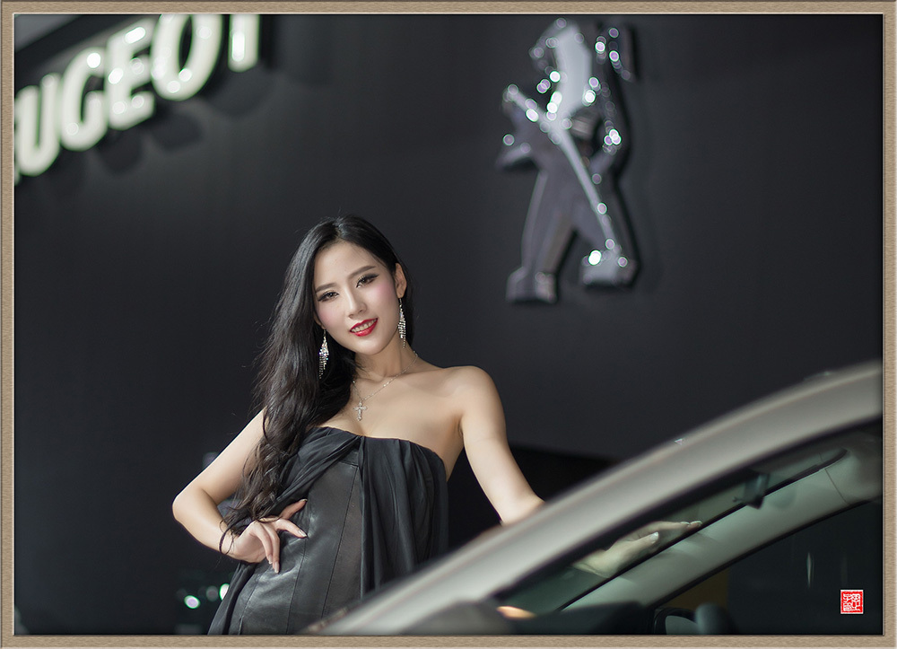 [网络收集] 2013.11.15 2013年成都车展 Part.5