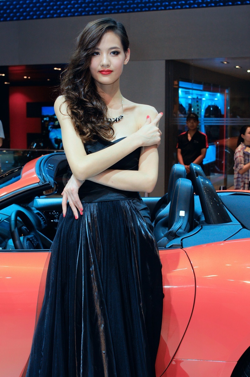 [网络收集] 2013.11.16 2013年成都车展 Part.6