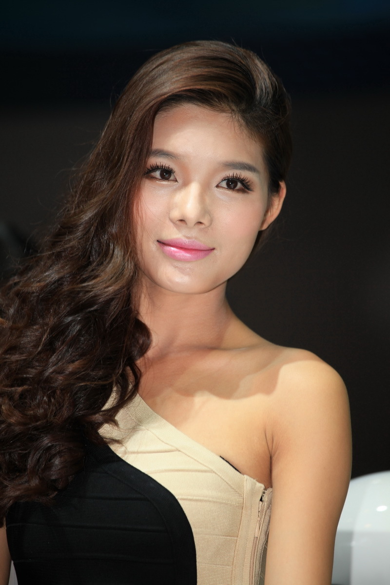 [网络收集] 2013.11.16 2013年成都车展 Part.6