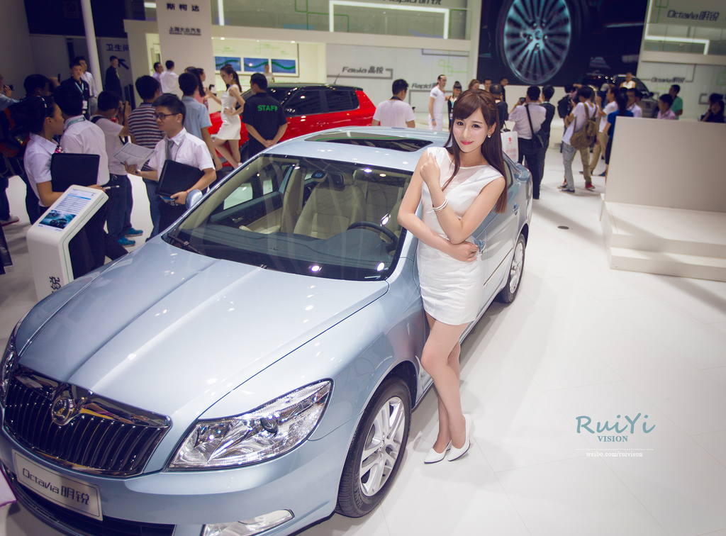 [网络收集] 2013.11.17 2013年成都车展 Part.7