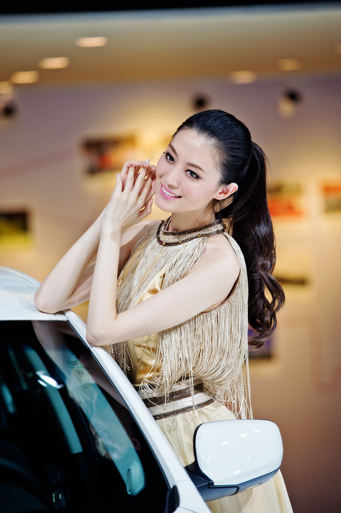 [网络收集] 2013.11.19 2013年成都车展 Part.9