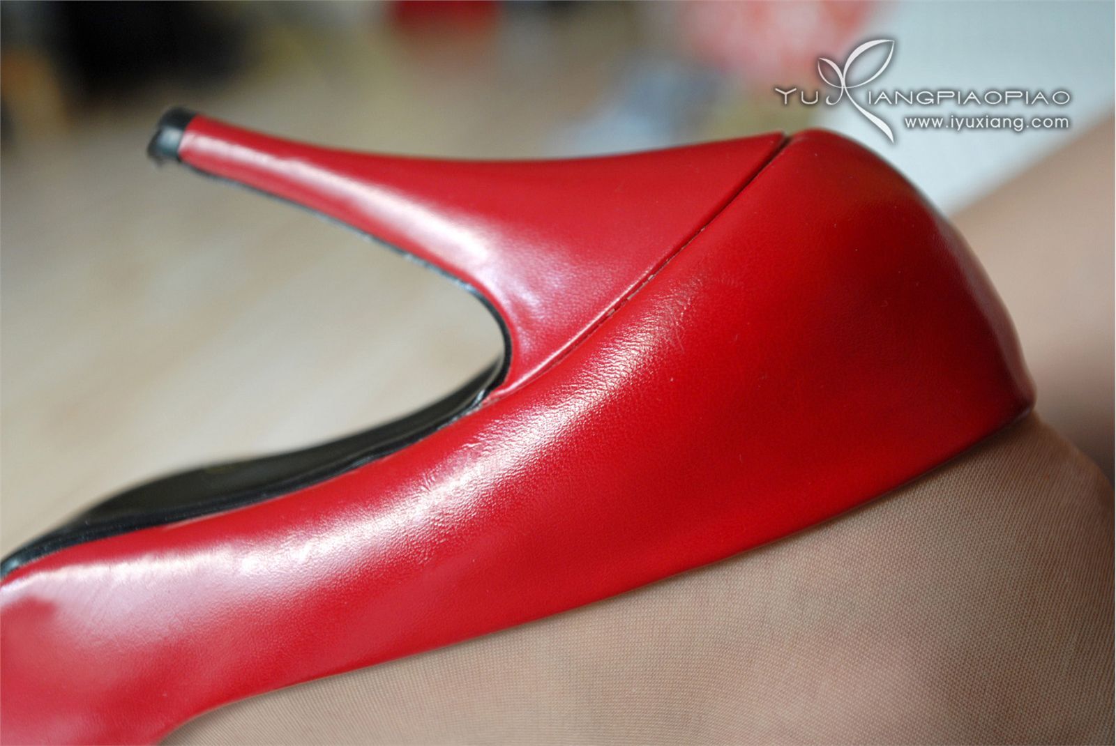 [网络收集] 2013.11.04 肉丝红高看着有些喜气洋洋