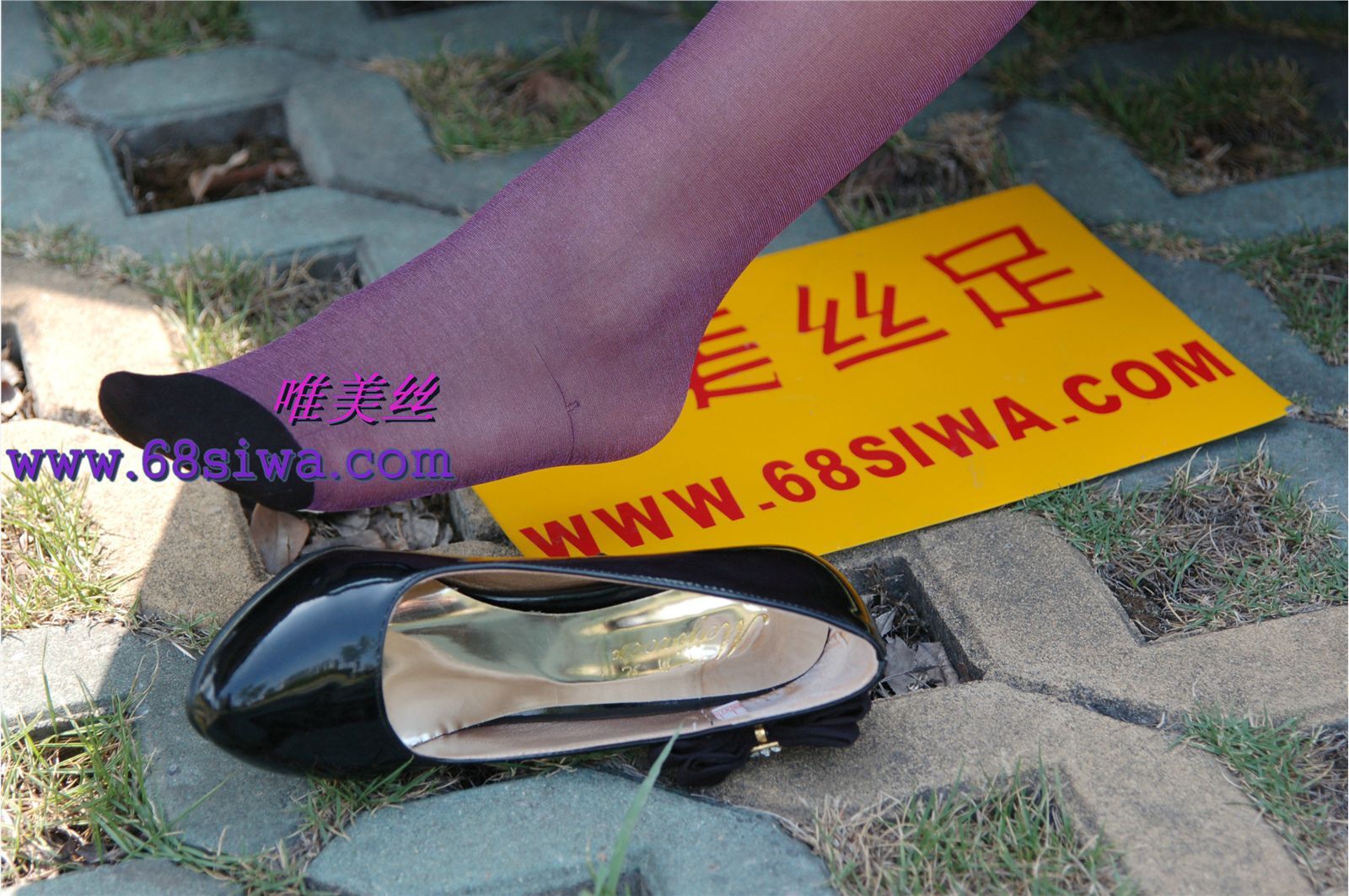 唯美丝11001期露露 国产丝足美腿图片