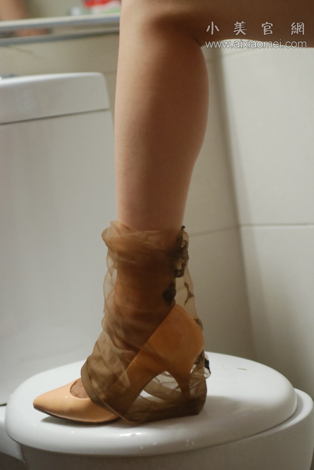 玻璃丝 小美VIP套图