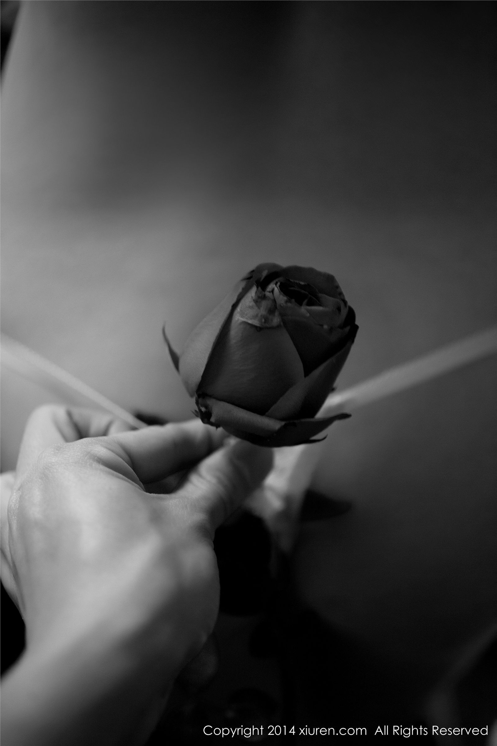 [秀人网美媛馆]2014.02.14 N00104 杨依[60P172.2MB]