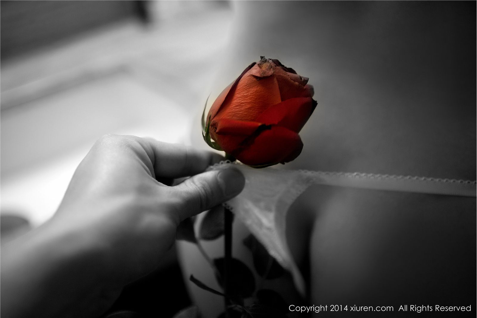 [秀人网美媛馆]2014.02.14 N00104 杨依[60P172.2MB]