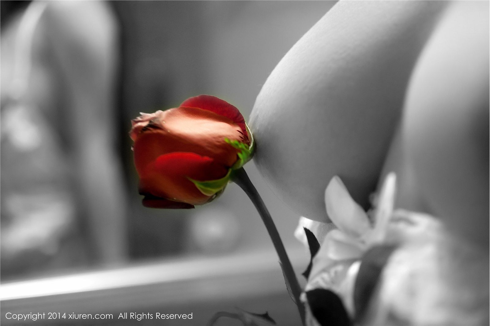 [秀人网美媛馆]2014.02.14 N00104 杨依[60P172.2MB]