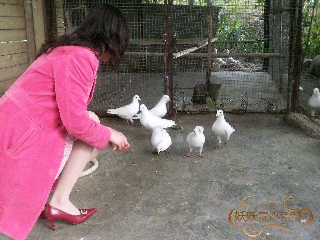 踏青 [妖妖]VIP无水印高清套图系列