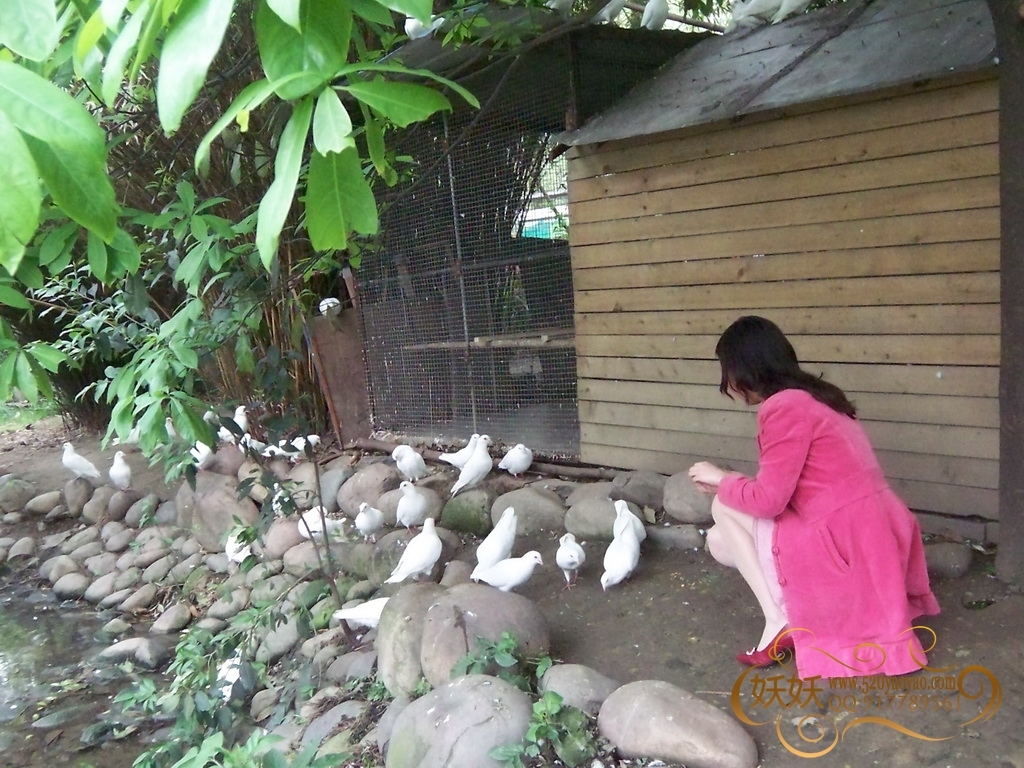 踏青 [妖妖]VIP无水印高清套图系列