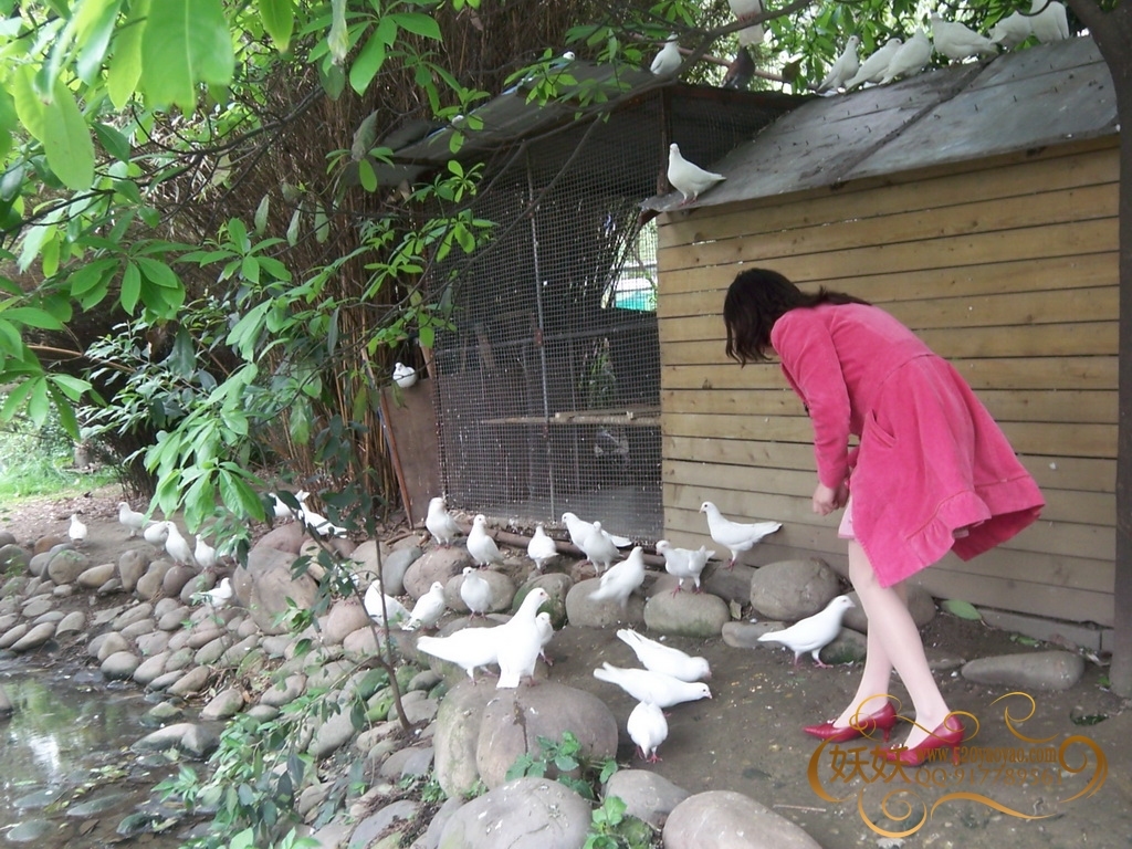 踏青 [妖妖]VIP无水印高清套图系列