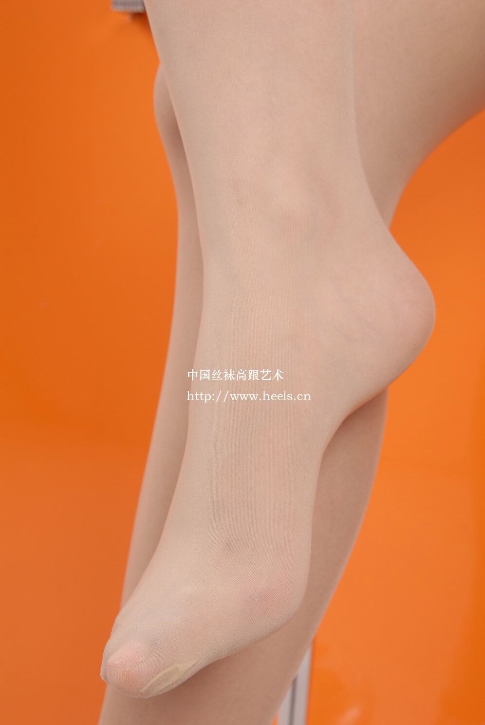 中高艺 20071210VIP套图