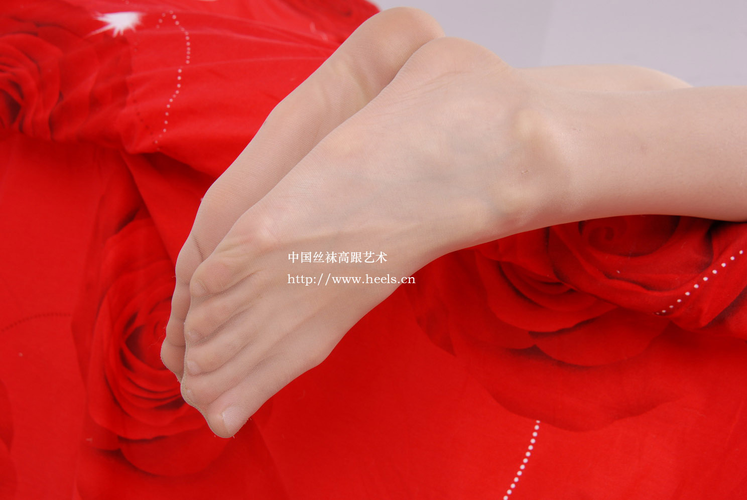 丝袜美女中高艺 07年vip会员套图