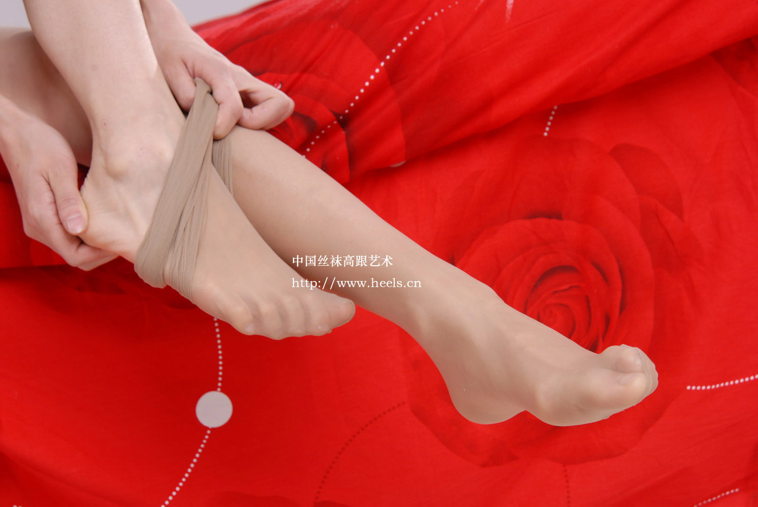 丝袜美女中高艺 07年vip会员套图