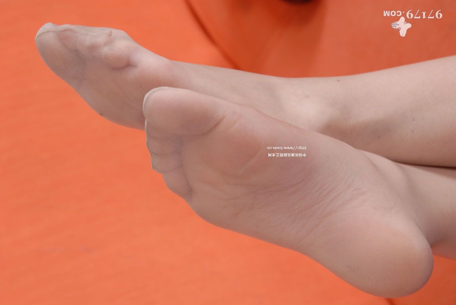 中高艺丝女丝足